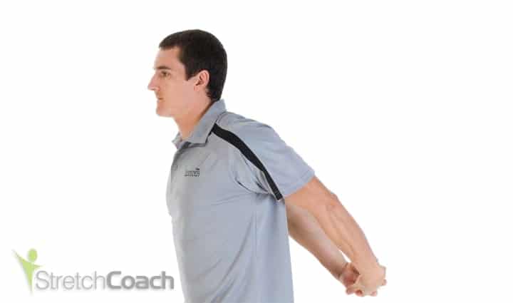 Desk stretch for the shoulders