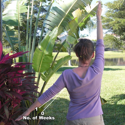 Recovery at 1 week Rotator Cuff Injury Treatment - week 1